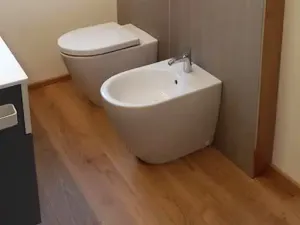 sanitari